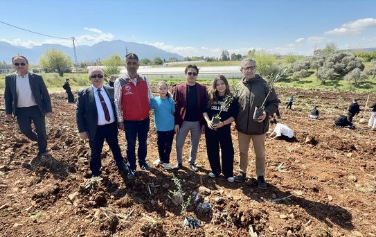 Hayatını Kaybedenler Anısına Zeytin Fidanları Dikildi