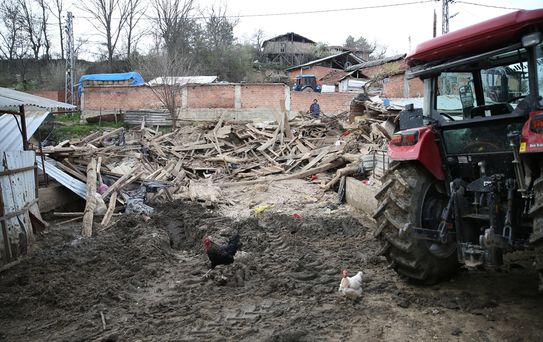 Kastamonu'da Ahır Çöktü, 4 Hayvan Telef Oldu