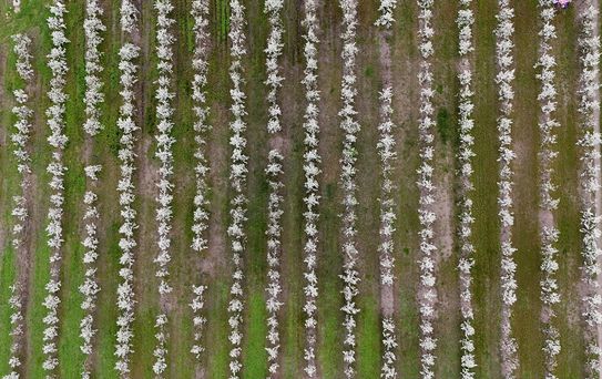Pehlivanköy'de Baharın Gelişi
