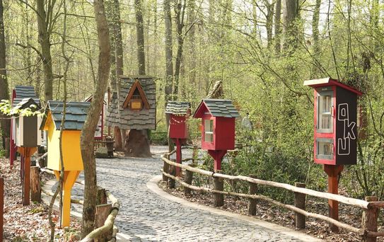 Ormanya'da Kitap Keyfi