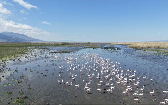 Eber Gölü'nde Su Seviyesi Artıyor