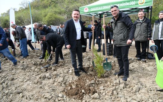Lapseki'de Fidan Dikim Töreni