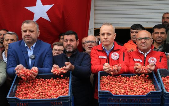 Erken Kiraz Hasadı Başladı