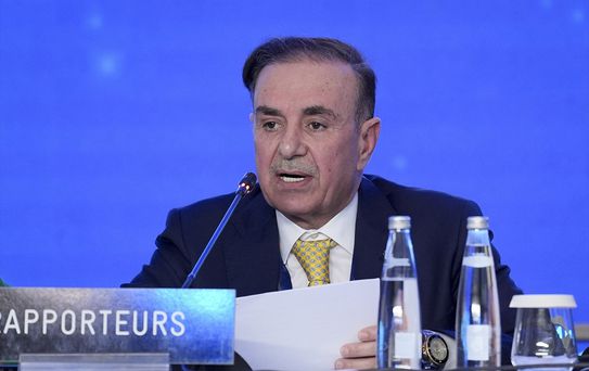 Barış için Parlamentoların Rolü