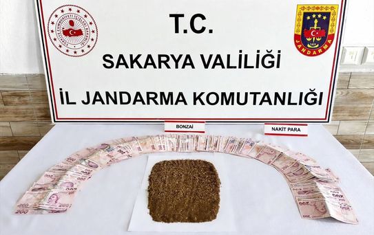 Karasu'da Uyuşturucu Operasyonu: 1 Tutuklama