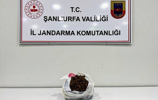 Viranşehir'de 1 kg Sentetik Uyuşturucu Ele Ge geçirildi