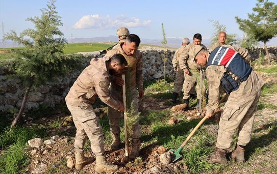 Kurtalan'da 1000 Fidan Dikildi