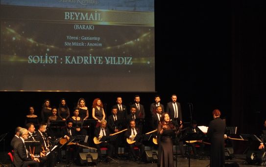 Türkü Kervanı Sivas'ta