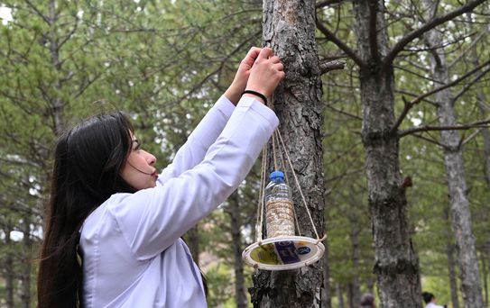 Sokak Hayvanlarına Destek Etkinliği