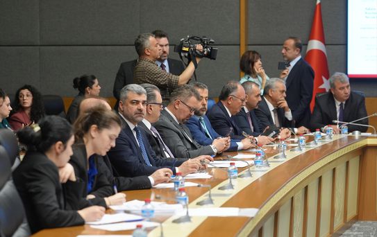 Sokak Hayvanlarıyla İlgili Yeni Rapor