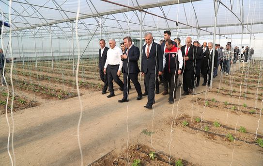 Yıldırım'dan Erzincan'da Sera Ziyareti