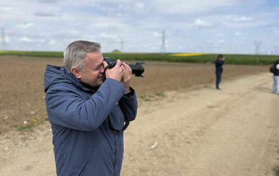 Kanola Tarlalarında Foto Safari