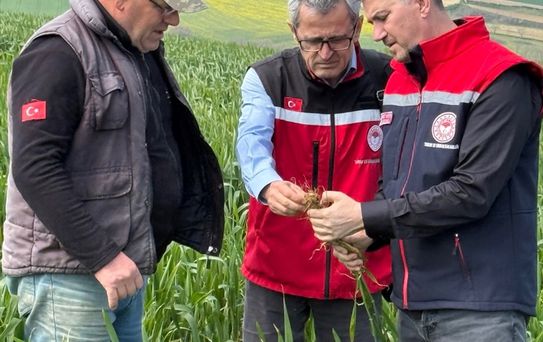 Süleymanpaşa'da Eğitim Güvenliği Toplantısı