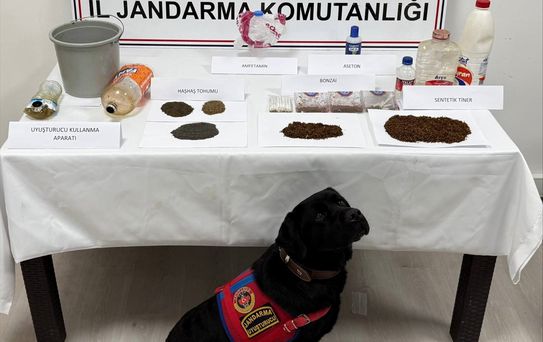 Tokat'ta Uyuşturucu Operasyonu: 8 Gözaltı