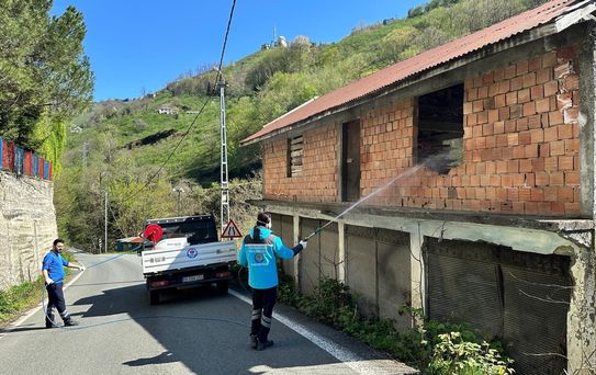 Kahverengi Kokarca İle Mücadele Süreci