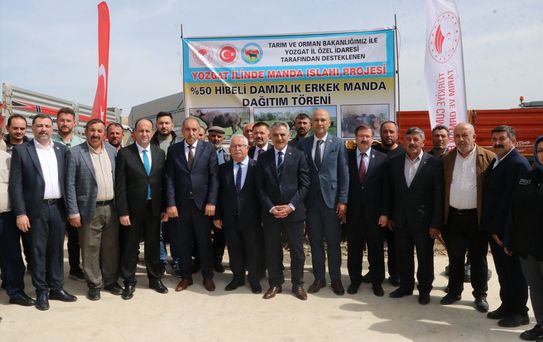Yozgat'ta Manda Dağıtımı