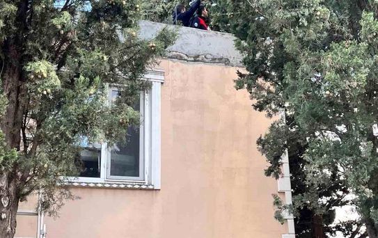 Ağaçta Mahsur Kalan Kedi Kurtarıldı