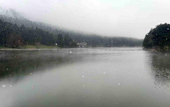 Bolu Gölcük'te Kar ve Sis Etkili