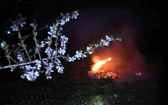 Demirci'de Badem Üreticileri Don Nöbetinde