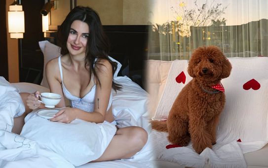 Nesrin Cavadzade’den köpeği Dolce'ye doğum günü partisi