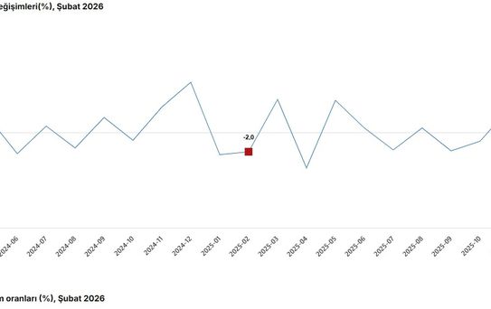 TÜİK: Şubat'ta Sanayi Üretimi Arttı
