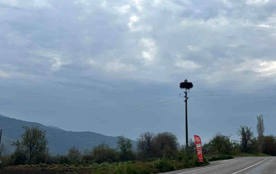 Leylekler Bozdoğan'da Baharı Müjdeliyor
