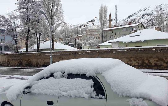 Başkale'de Nisan Karı Hayatı Olumsuz Etkiledi