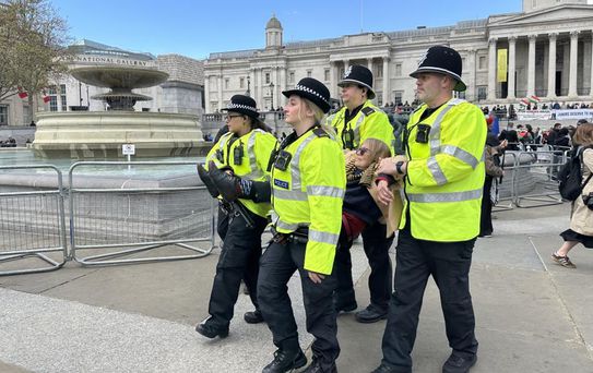 Londra'da Filistin protestosunda 212 kişi gözaltına alındı