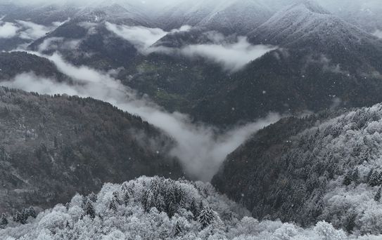 Ayder Yaylası'nda Kar Kalınlığı 20 Santimetreye Ulaştı