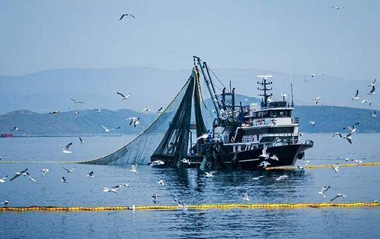 Av Yasağı 15 Nisan'da Başlıyor