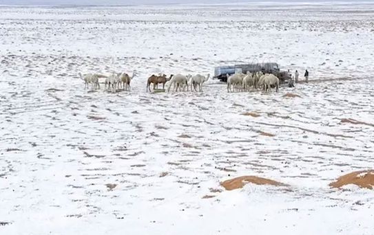 Suudi Arabistan'da çöller dolu yağışıyla beyaza büründü