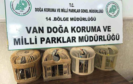 Gevaş'ta Kafes Avcısına 86 Bin TL Ceza