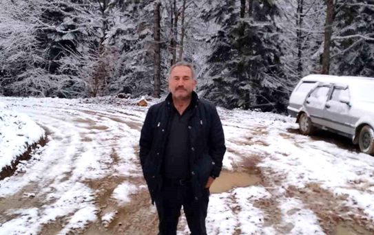 Yenice'de Ağaç Devrildi: İşçi Hayatını Kaybetti