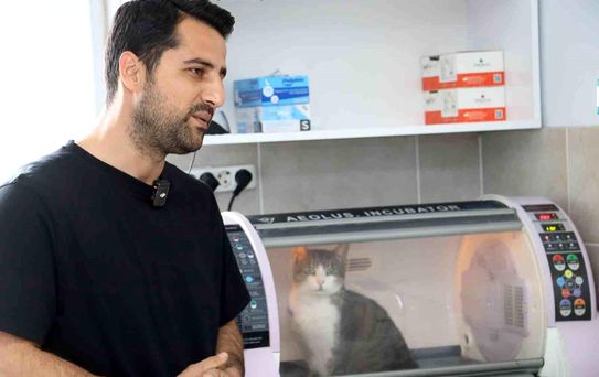 Kral ölümden döndü, zorlu ameliyat başarıyla tamamlandı