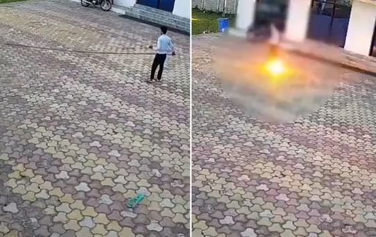 Maymunu kovmaya çalışırken canından oldu