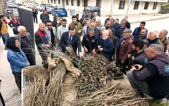 Çemişgezek'te vatandaşlara ücretsiz fidan dağıtıldı