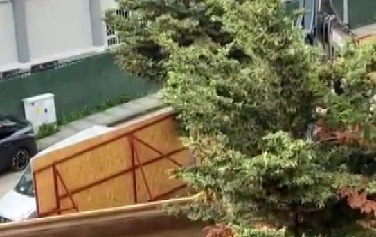 Üsküdar Belediyesi'nin ruhsat verdiği inşaat alanında ağaçlar kesildi