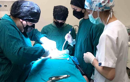 Ordu'da Özel Bireylere Diş Tedavisi