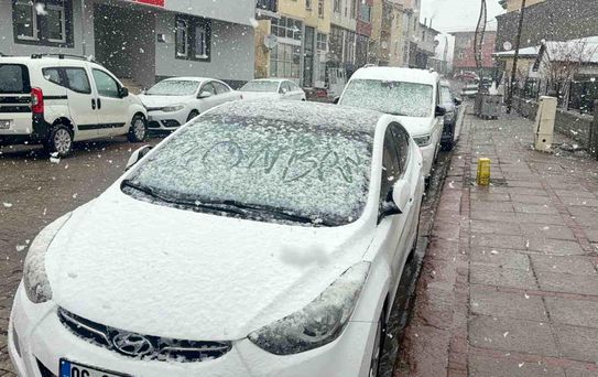 Bingöl'de Nisan Karı Şaşkınlık Yarattı