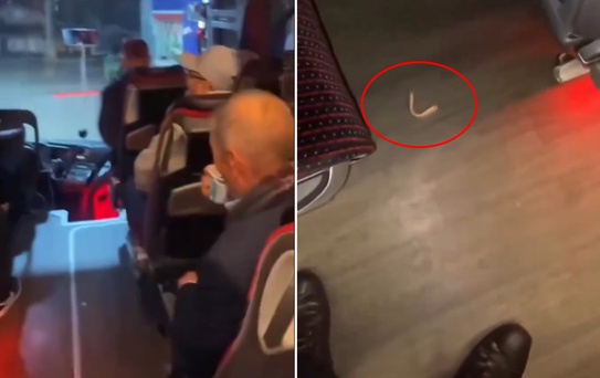 Muavin otobüste düşen takma dişin sahibini aradı: Bahattin ağabey dişin ağzında mı?