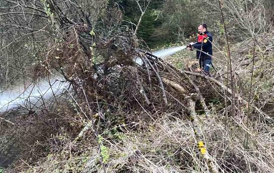 Ormanlık alanda çıkan yangın büyümeden söndürüldü