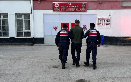 Kaman'da Köpeği Vuran Kişi Tutuklandı