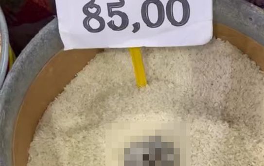Açıkta satılan pirinçte kedi dışkısı görüldü, markete 52 bin TL ceza kesildi