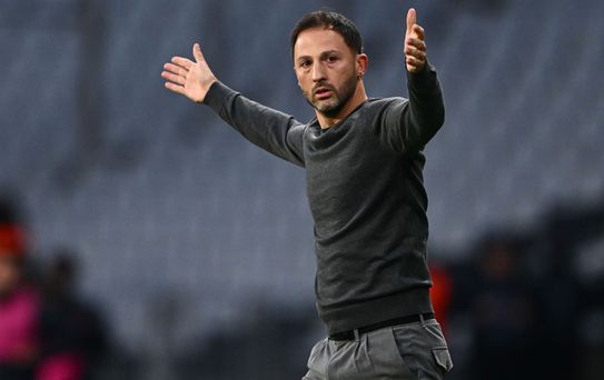 Fenerbahçe taraftarından Domenico Tedesco'ya istifa çağrısı
