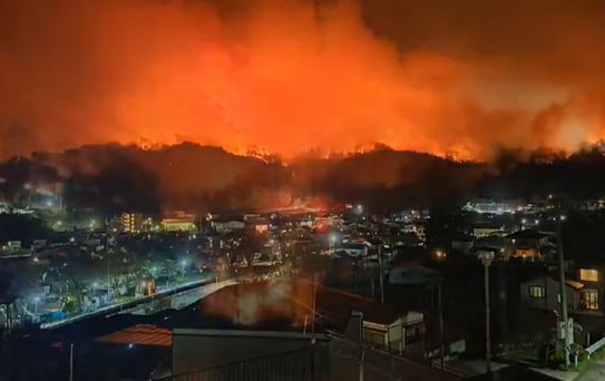 Japonya'nın Iwate eyaletinde orman yangını