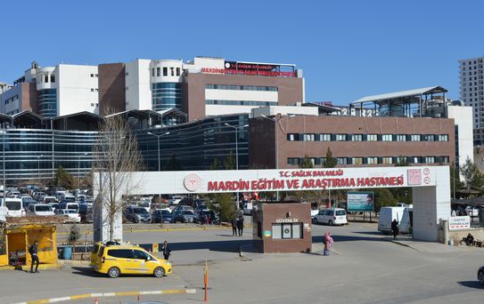 Derik'te Çoban Silahlı Saldırıda Öldürüldü
