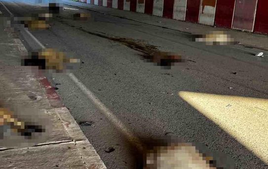 Hatay'da Otomobil Koyun Sürüsüne Daldı