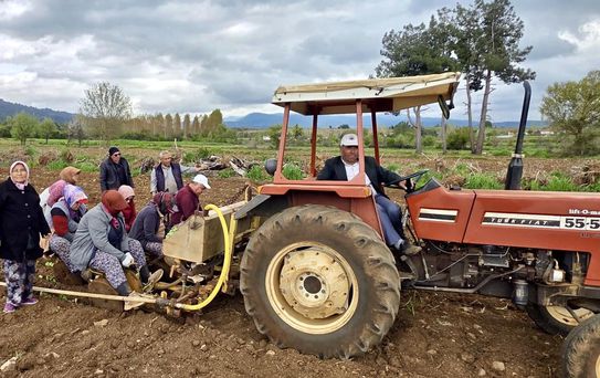 Başkan Pütün tütün sezonun başlamasıyla birlikte üreticiyle tarlada buluştu