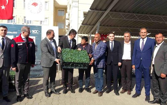 Kilis'te 320 çiftçiye üzüm şalı, 250 çiftçiye 400 bin fide desteği