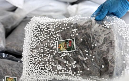 Türkiye ve Suriye'den ortak operasyon! Değeri tam 300 milyon TL